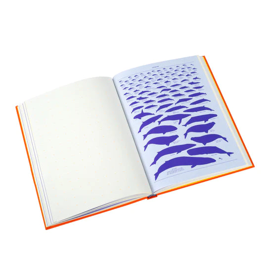 Grids & Guides (Orange) A Notebook for Visual Thinkers