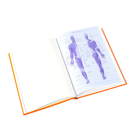 Grids & Guides (Orange) A Notebook for Visual Thinkers