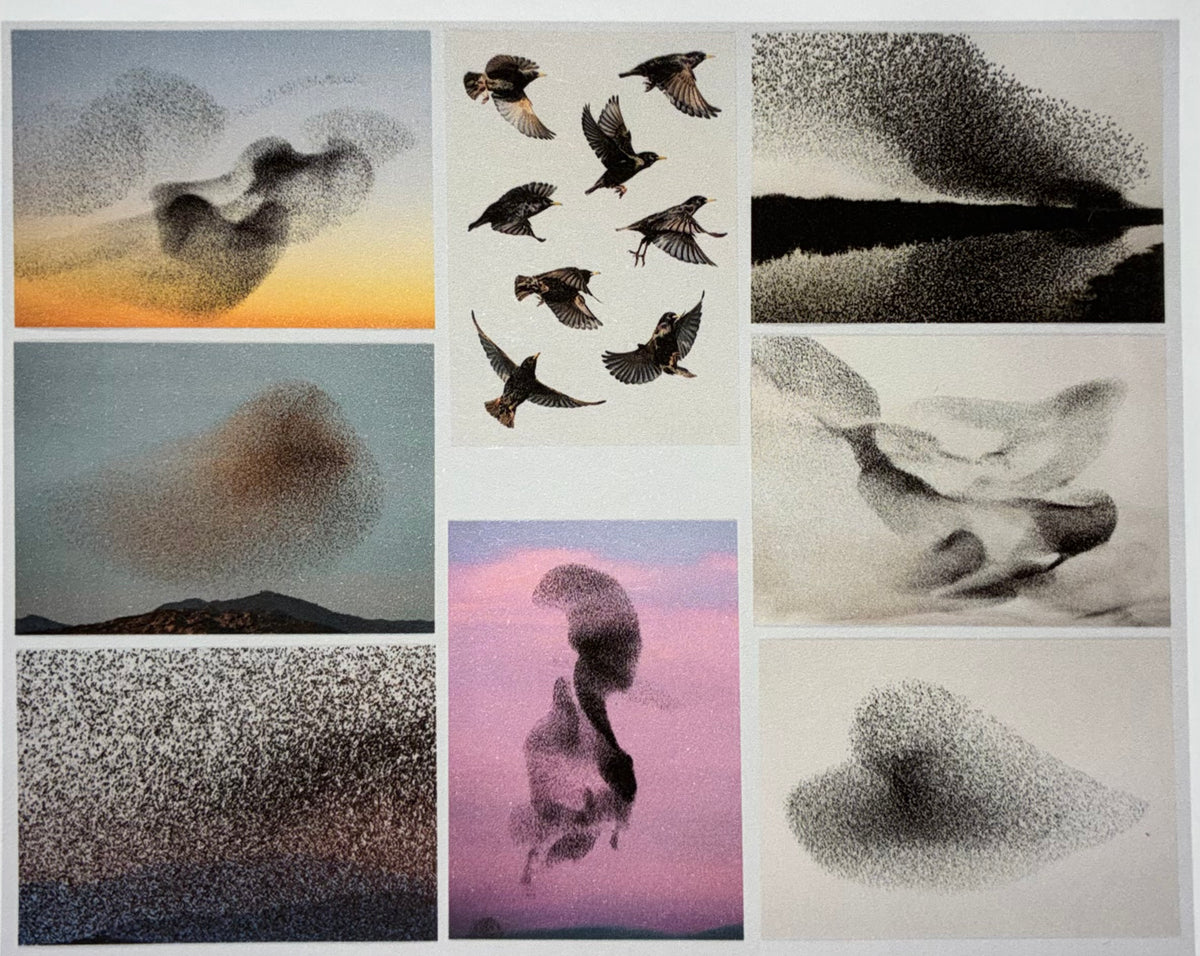 Søren Solkær COLLECTION OF 8 LARGE BLACK SUN POST CARDS VOLUME 2