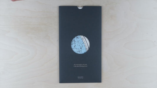 Celestial Planisphere (1884) Map