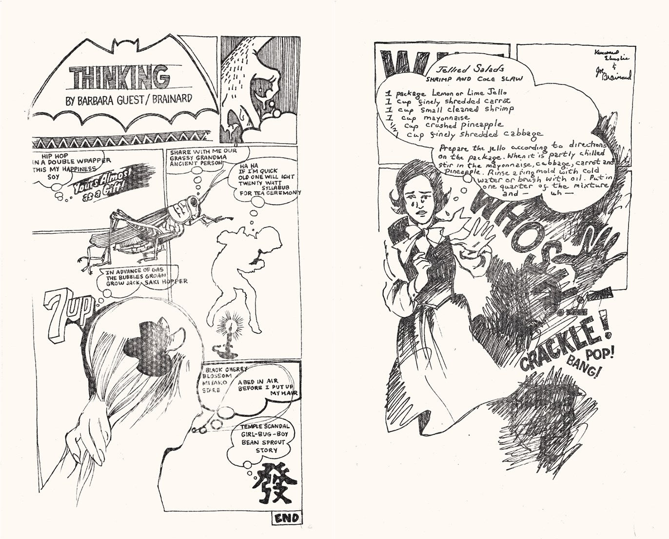 The Complete C Comics - Joe Brainard