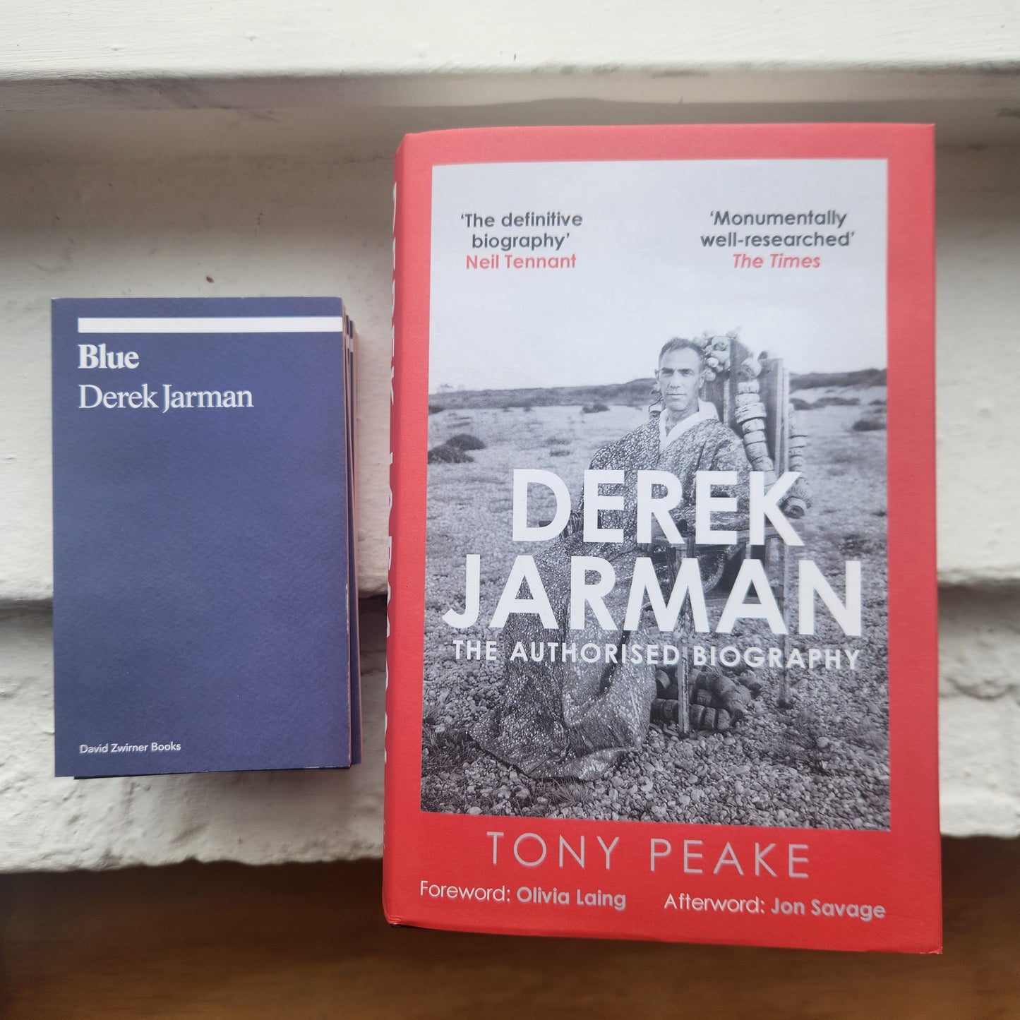 Derek Jarman Authorised Bio Tony Peake