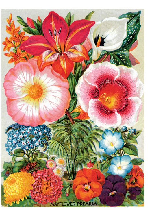 Summer Flowers - Flowers Card